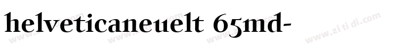 helveticaneuelt 65md字体转换
